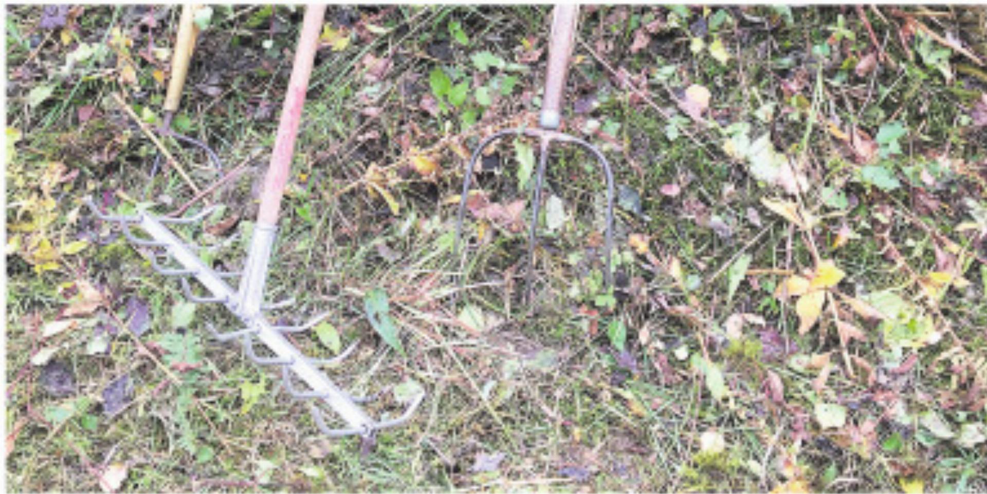 Frauenverein Beinwil - Das Bild wird blockiert. – Möglicherweise durch einen aktiven Adblocker.