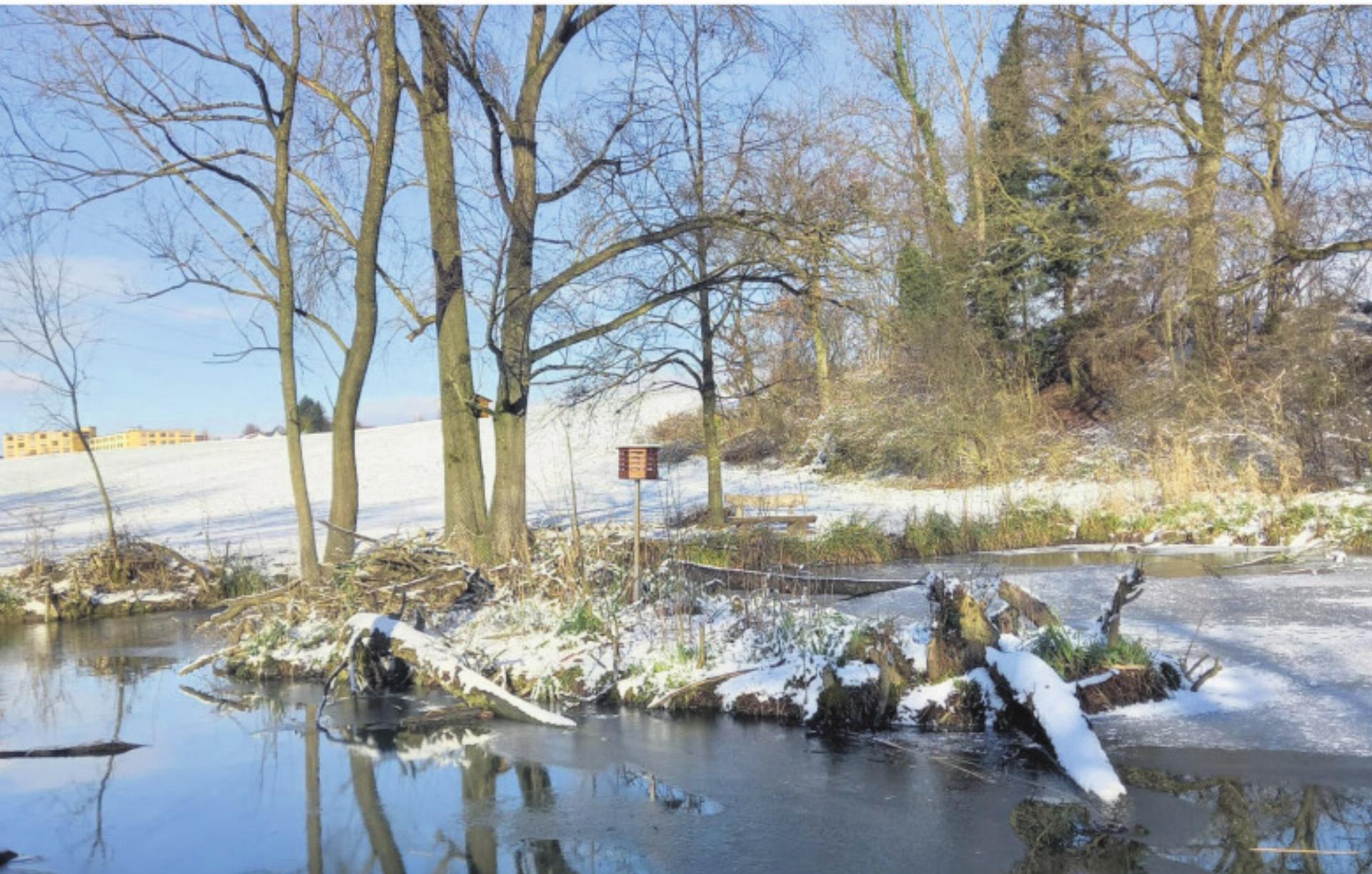 Auw: Offizielle Mitteilungen 09. 01. 2026 - Das Bild wird blockiert. – Möglicherweise durch einen aktiven Adblocker.