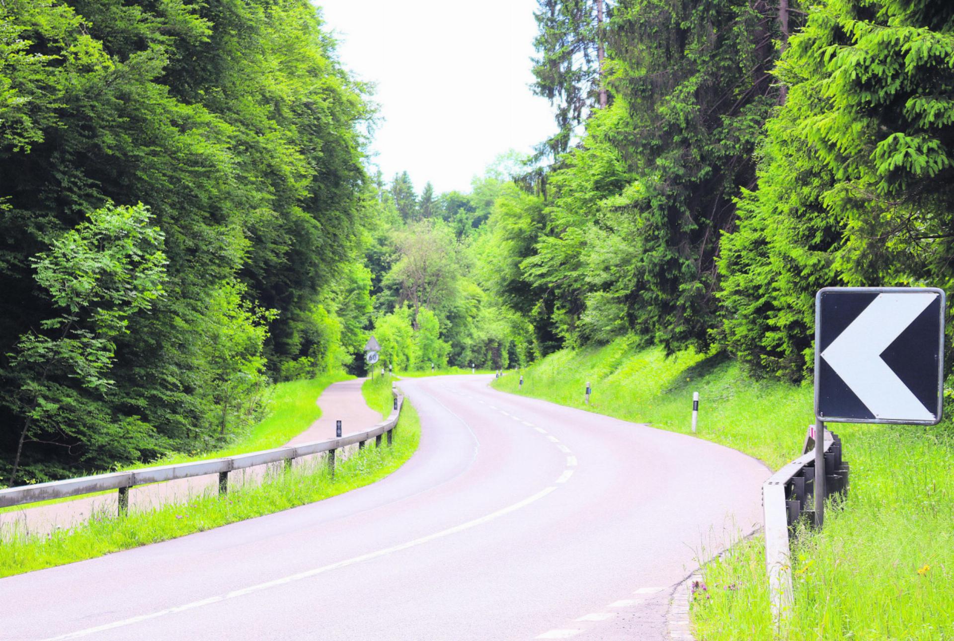 Wildunfall – kommt vor und ist immer meldepflichtig
