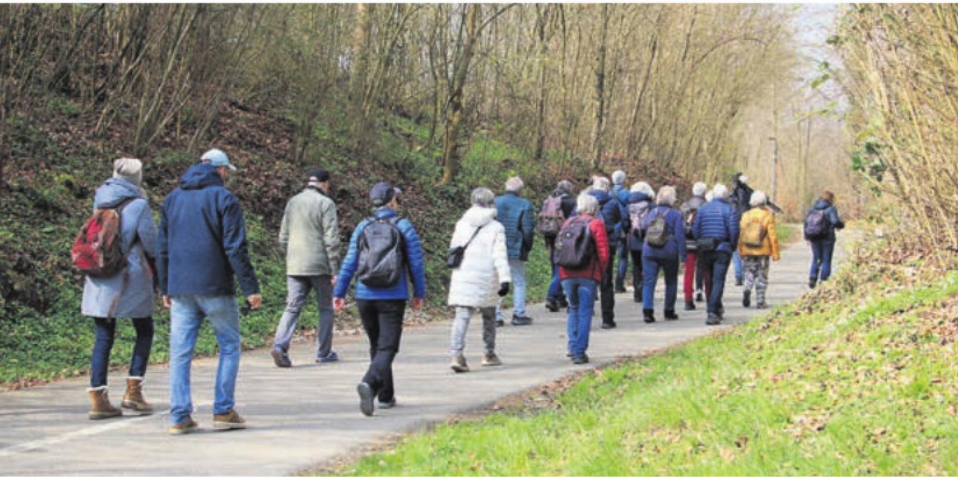 Wieviele Rabenarten gibt es in der Schweiz? - Das Bild wird blockiert. – Möglicherweise durch einen aktiven Adblocker.