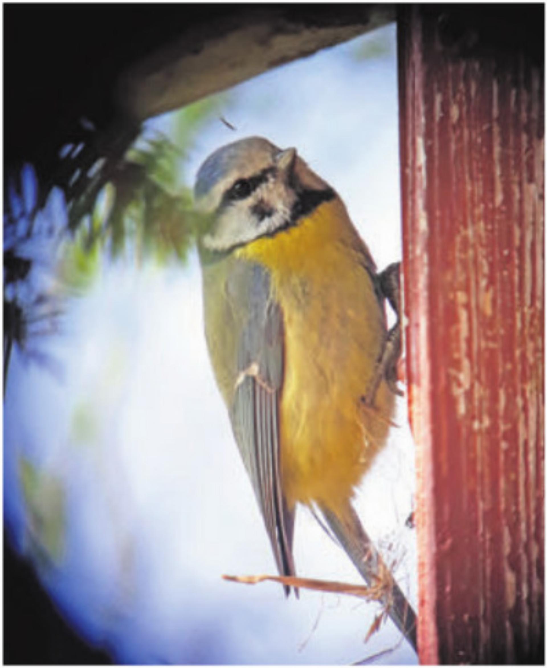 Der Natur auf der Spur - Das Bild wird blockiert. – Möglicherweise durch einen aktiven Adblocker.