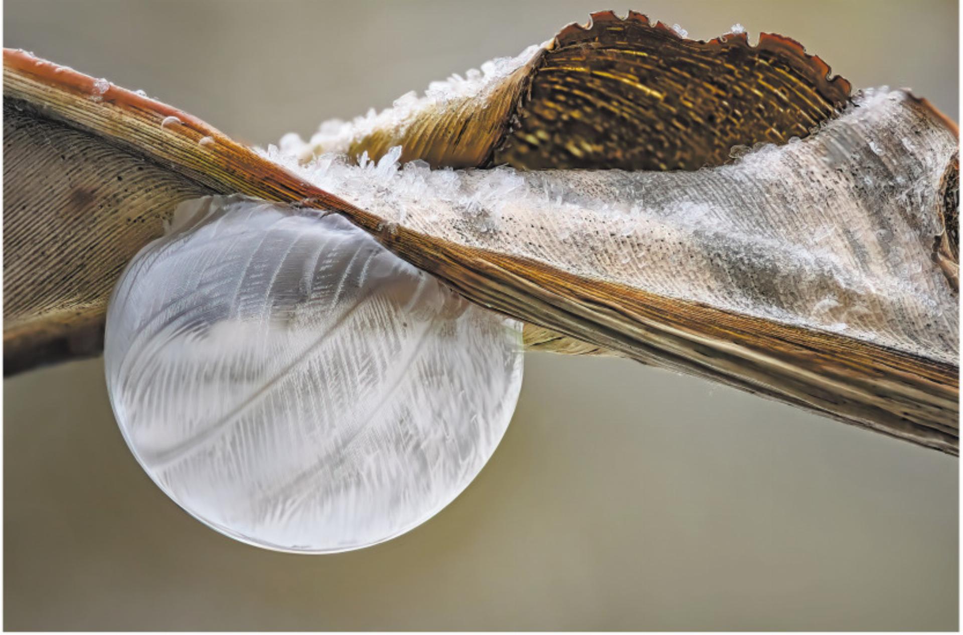 Natur vor der Linse - Das Bild wird blockiert. – Möglicherweise durch einen aktiven Adblocker.