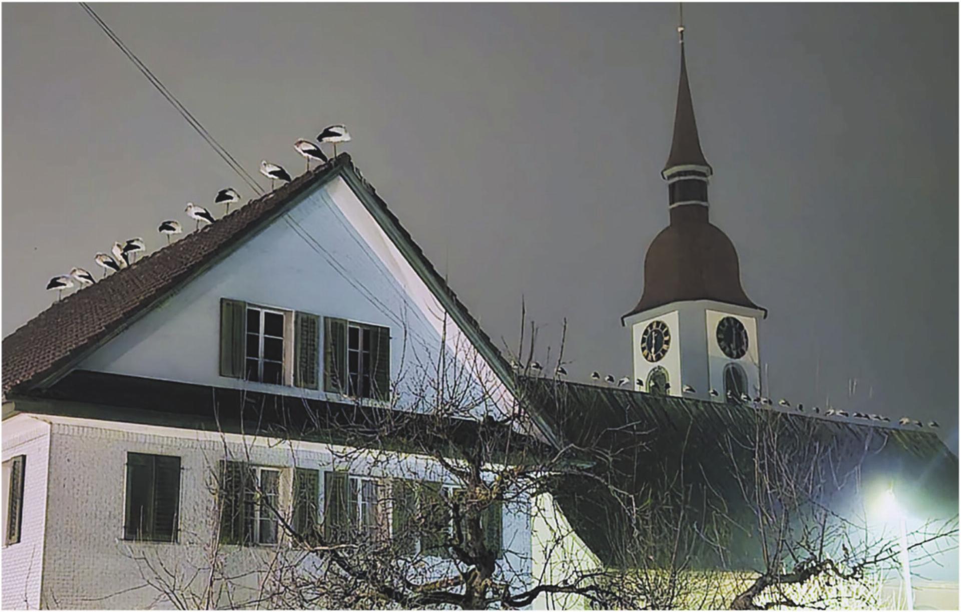 Unterwegs im Oberfreiamt - Das Bild wird blockiert. – Möglicherweise durch einen aktiven Adblocker.