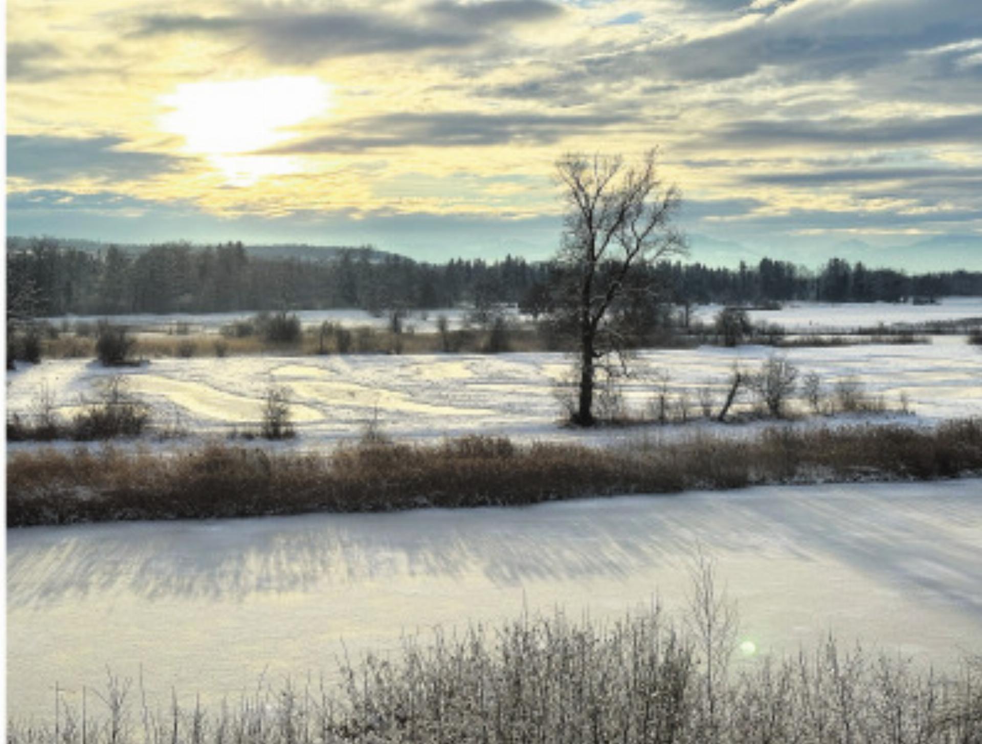 Reuss tal: Auen, Riedwiesen, Flachsee - Das Bild wird blockiert. – Möglicherweise durch einen aktiven Adblocker.