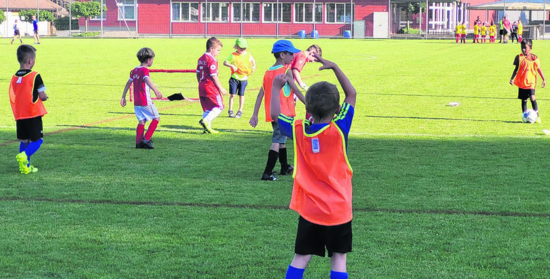 Die Fussballschule und der Kinderfussball des FC Sins richten sich an alle fussballbegeisterten Kinder. Foto: zVg