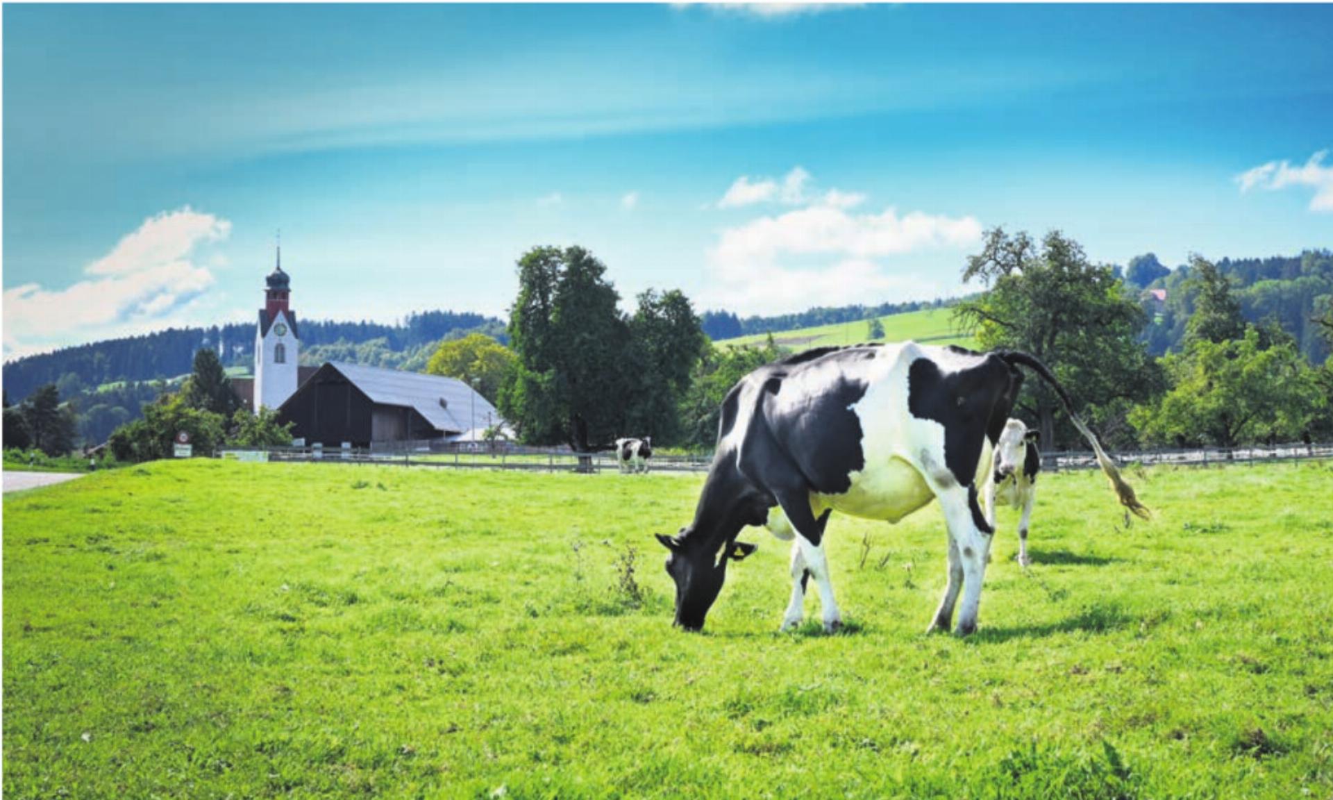 Beinwil : Offizielle Mitteilungen 27.03.2026 - Das Bild wird blockiert. – Möglicherweise durch einen aktiven Adblocker.