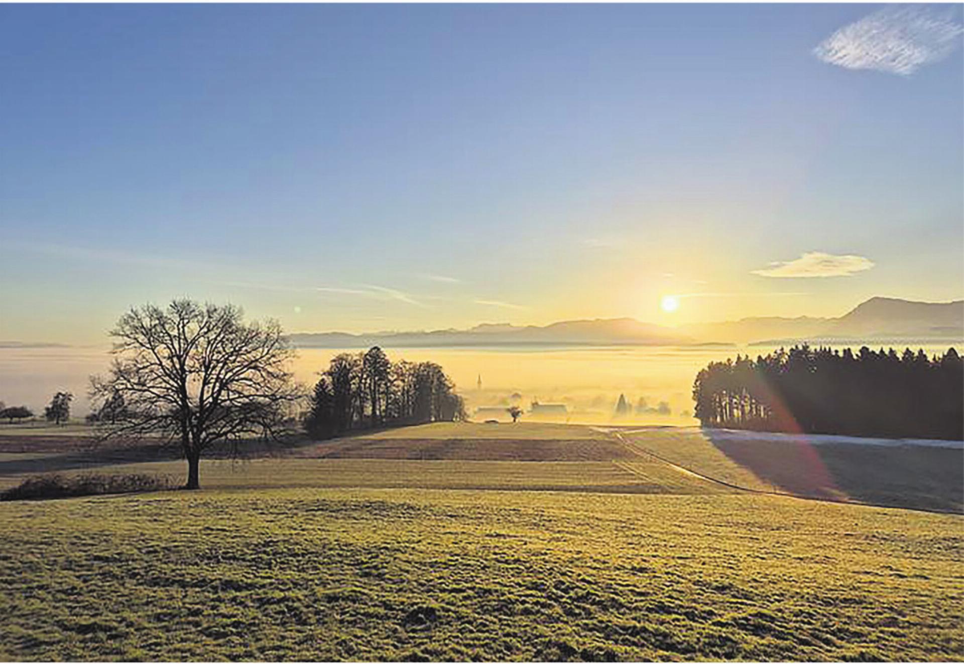Abtwil: Offizielle Mitteilungen 06.03.2026 - Das Bild wird blockiert. – Möglicherweise durch einen aktiven Adblocker.