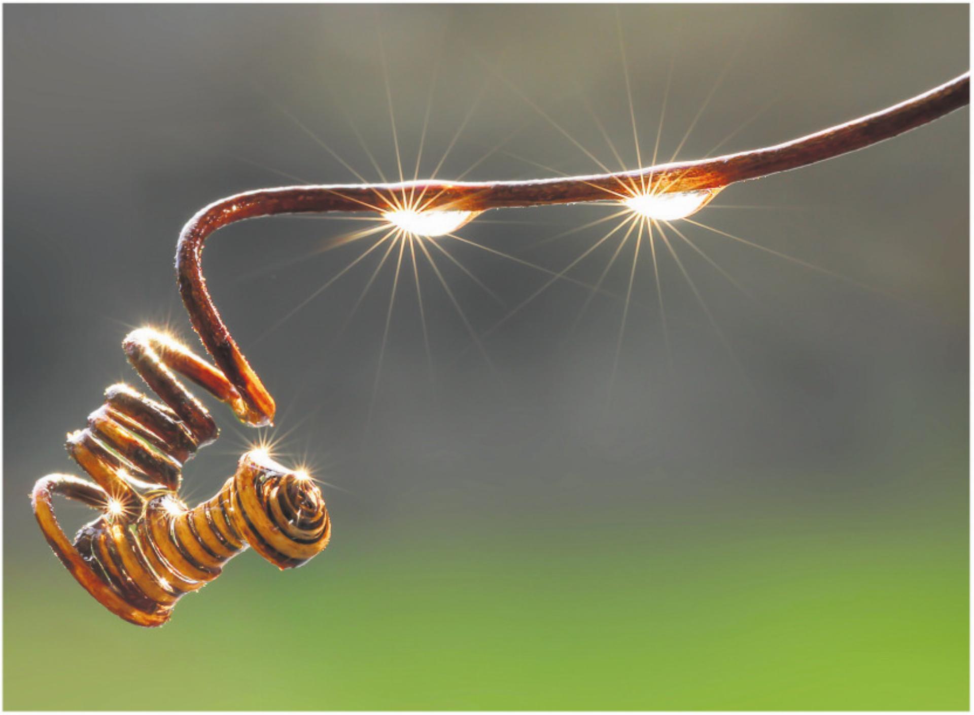 Natur vor der Linse - Das Bild wird blockiert. – Möglicherweise durch einen aktiven Adblocker.