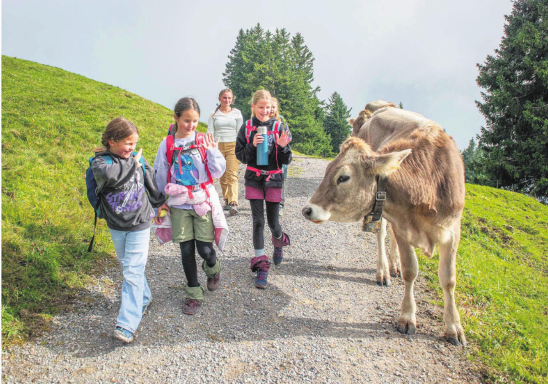 «Rigilager» vor Neuausrichtung - Das Bild wird blockiert. – Möglicherweise durch einen aktiven Adblocker.