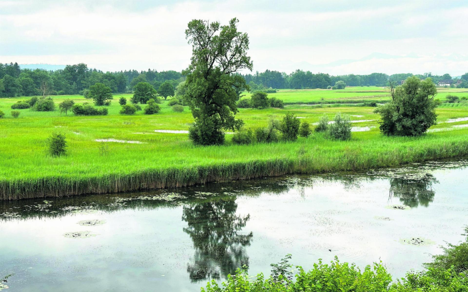 Natur- und Kulturlandschaftserbe Reusstal