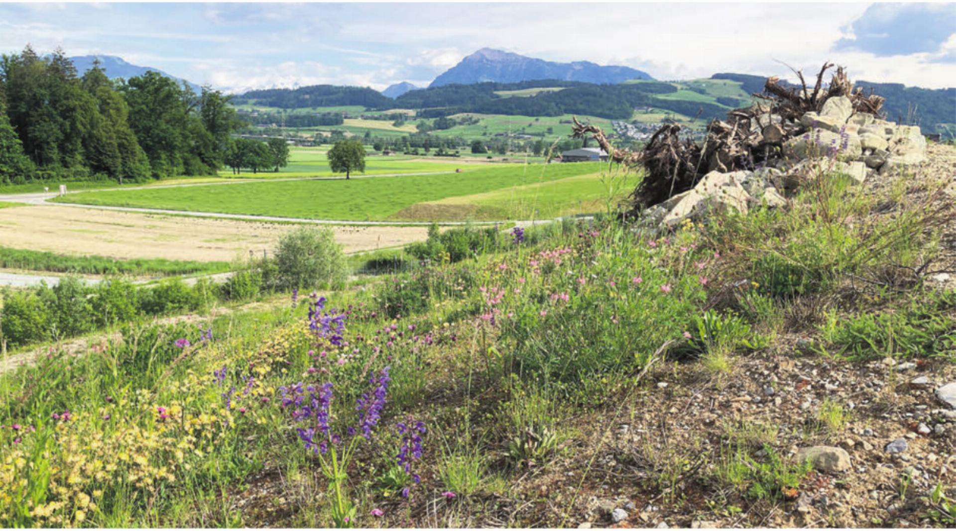 Dietwil : Offizielle Mitteilungen 24.04.2026 - Das Bild wird blockiert. – Möglicherweise durch einen aktiven Adblocker.