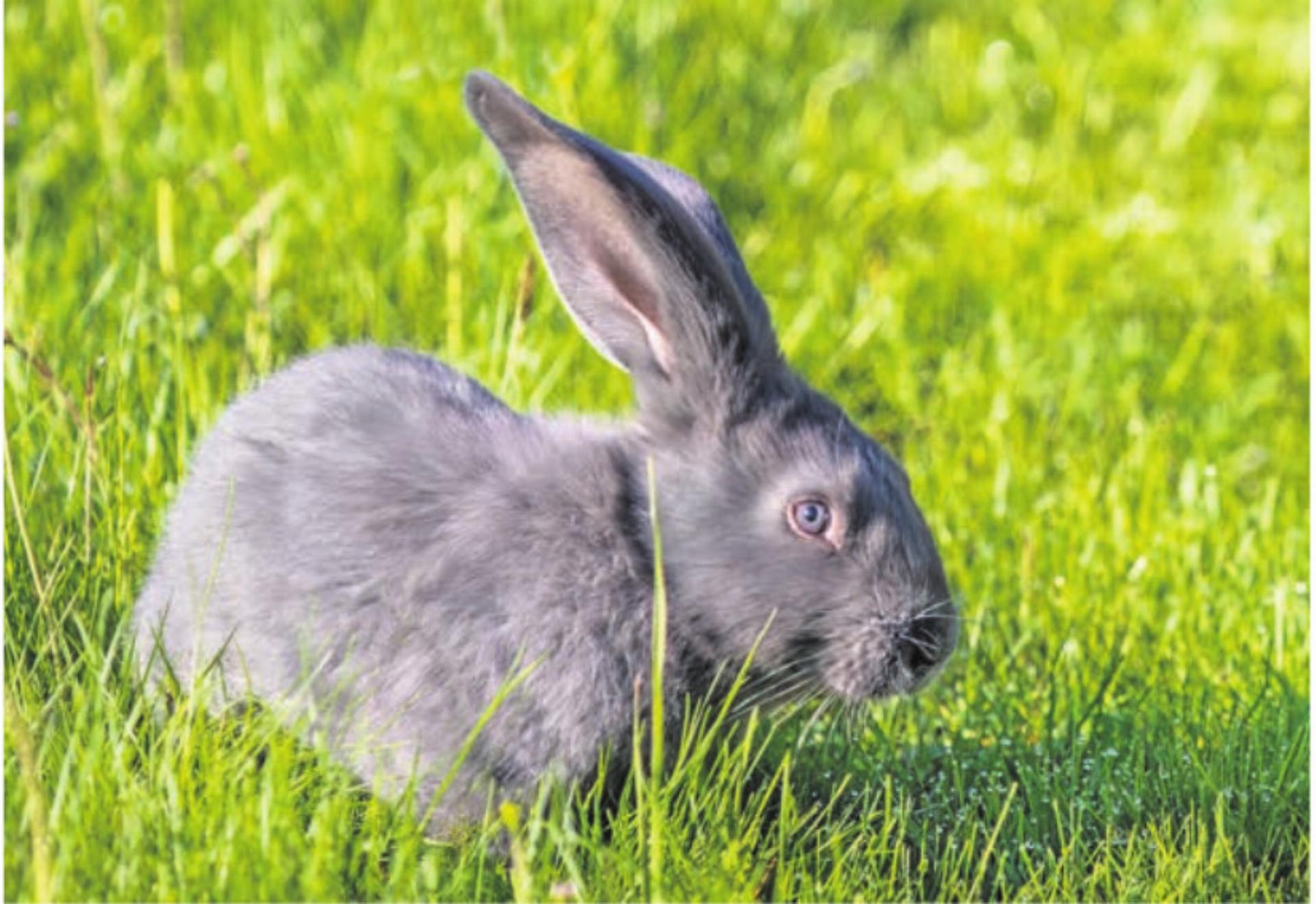 Natur vor der Linse - Das Bild wird blockiert. – Möglicherweise durch einen aktiven Adblocker.
