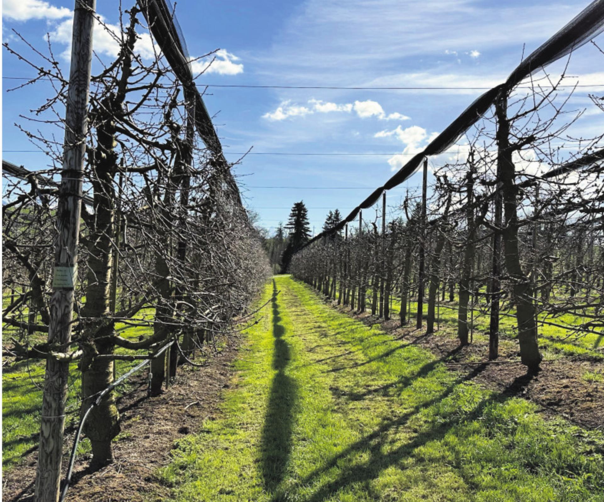 Wärme holt die Natur aus dem Winterschlaf - Das Bild wird blockiert. – Möglicherweise durch einen aktiven Adblocker.