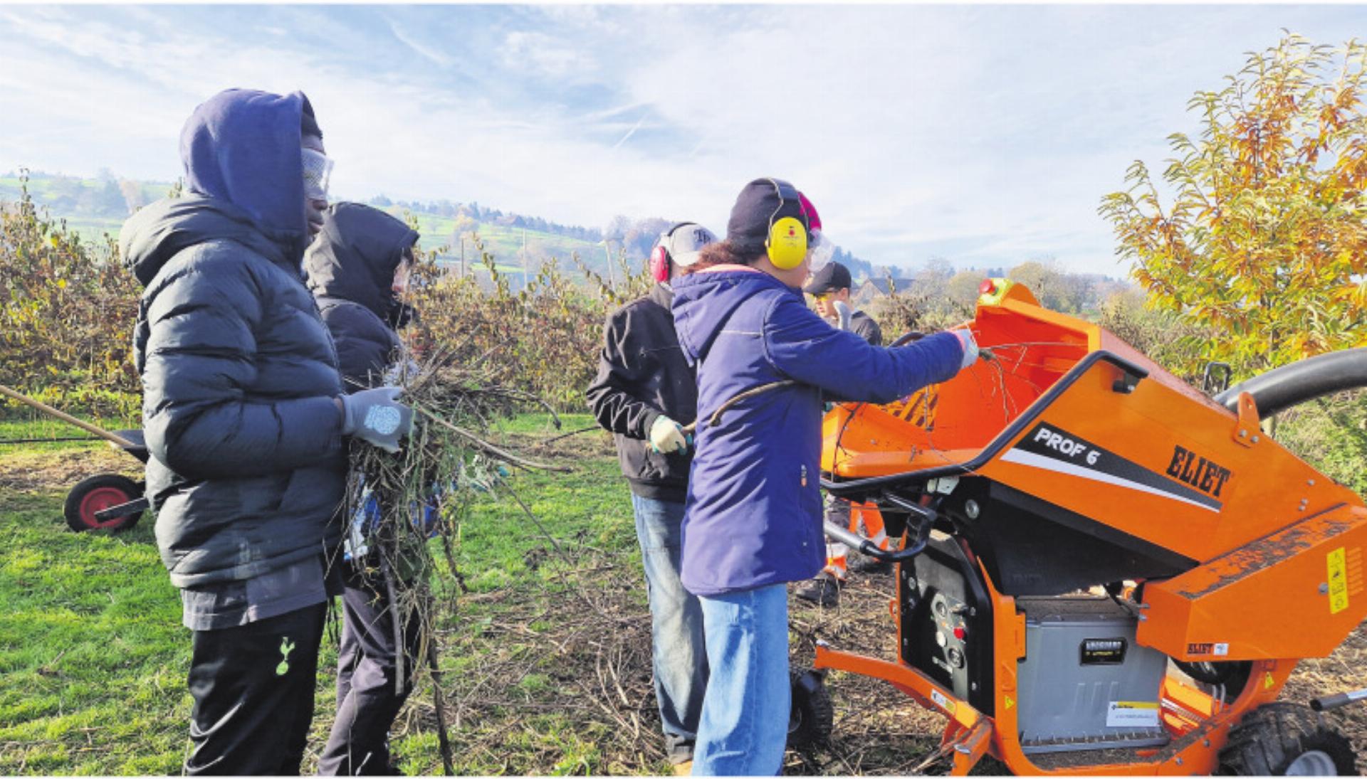 Hof in Wiggwil bekommt jugendliche Unterstützung - Das Bild wird blockiert. – Möglicherweise durch einen aktiven Adblocker.