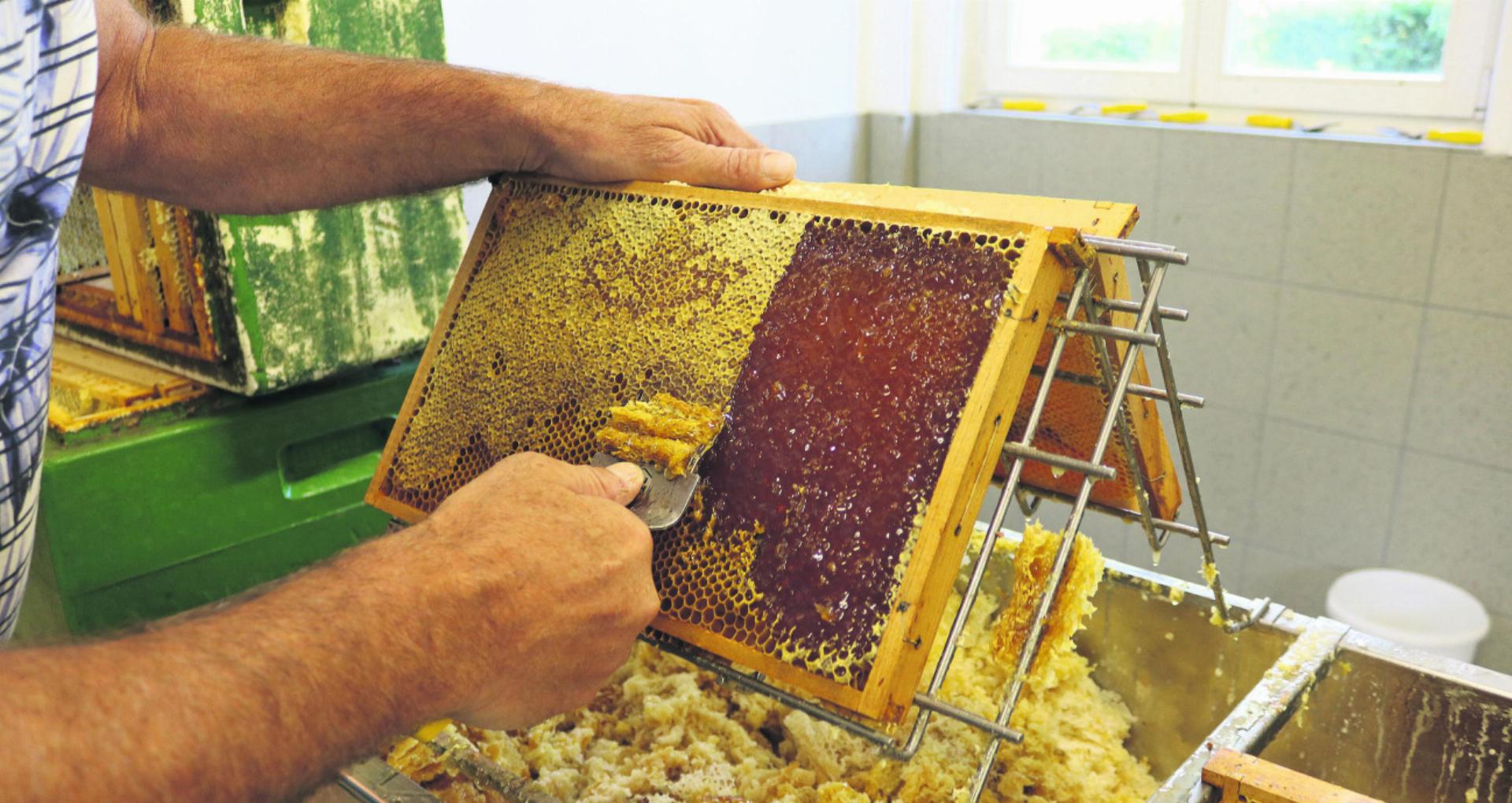 Bienen und ihr Produkt - Das Bild wird blockiert. – Möglicherweise durch einen aktiven Adblocker.