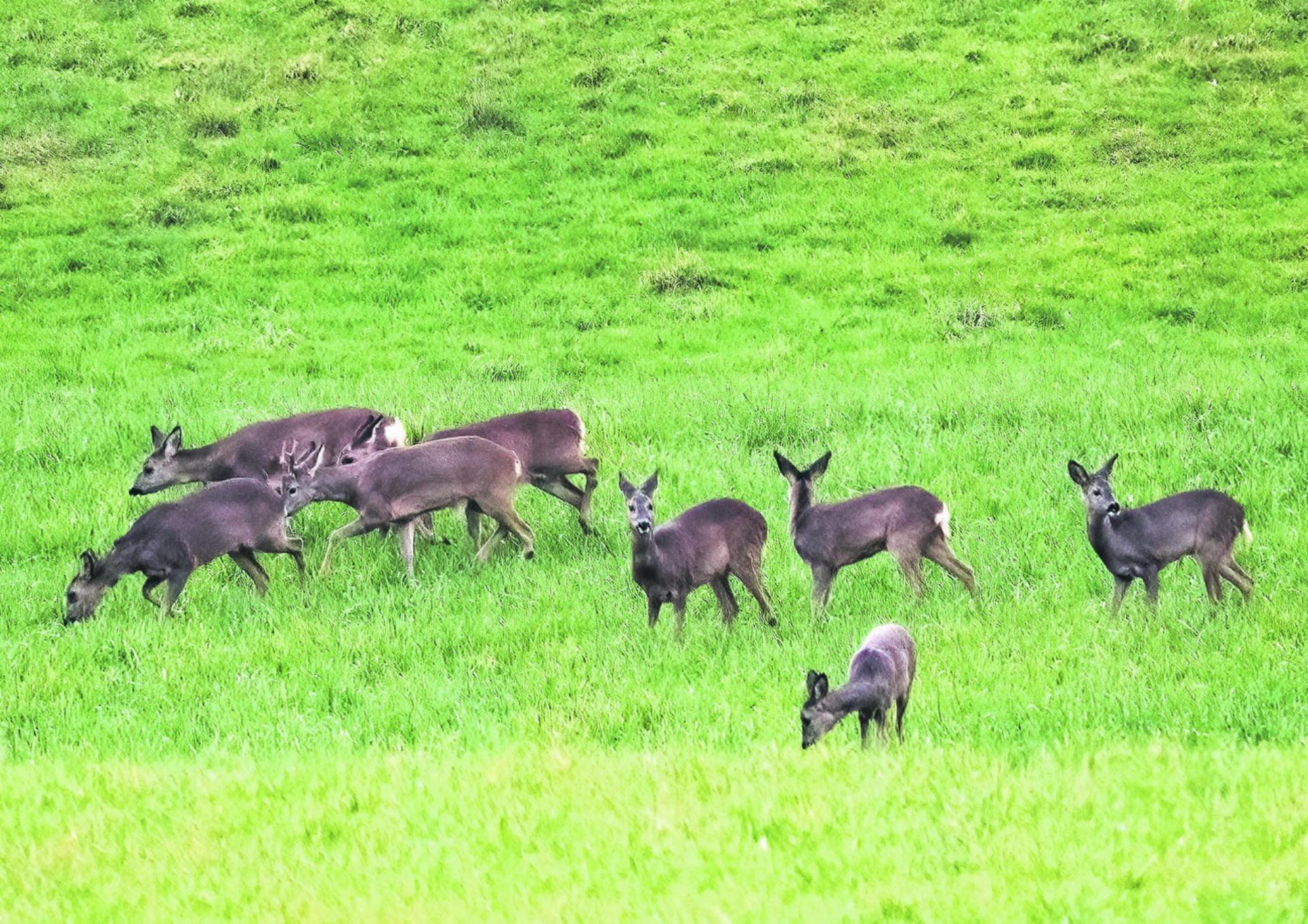 Natur vor der Linse - Das Bild wird blockiert. – Möglicherweise durch einen aktiven Adblocker.