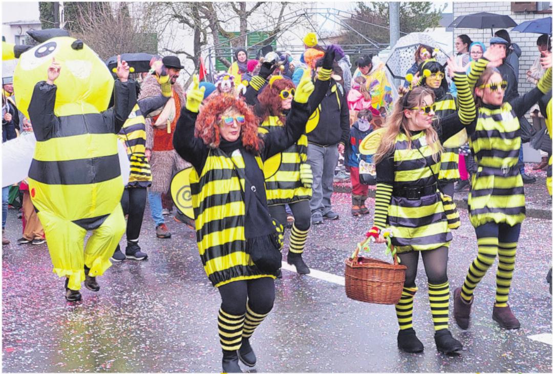 Beim Fasnachtsumzug in Beinwil starteten 23 Nummern. Trotz leichten Regens fanden sich viele Zuschauer am Strassenrand ein. Foto: ew Beim Fasnachtsumzug in Beinwil starteten 23 Nummern. Trotz leichten Regens fanden sich viele Zuschauer am Strassenrand ein. Foto: ew