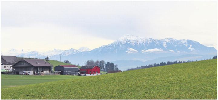 Die Rigi schneebedeckt, von Auw aus gesehen. 
Foto: Elena Villiger