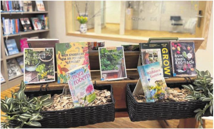 Viele neue Bücher auszuleihen in der Bibliothek Sins. Foto: zVg