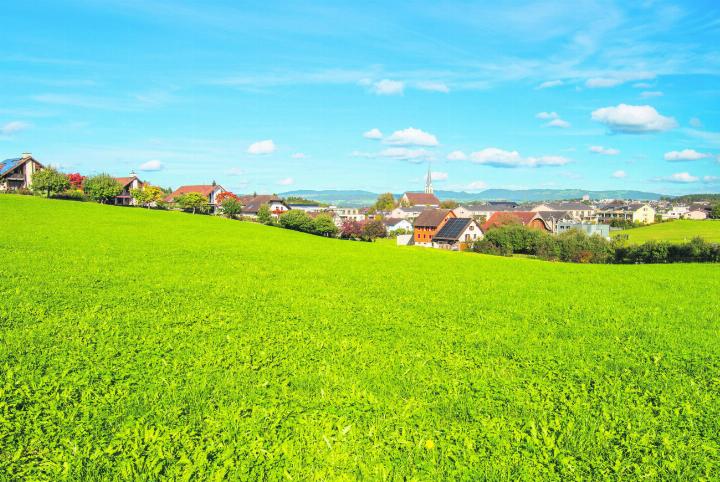 Idyllische Aussicht auf das Dorf Oberrüti im Frühsommer. Foto: Daniel Gugelmann