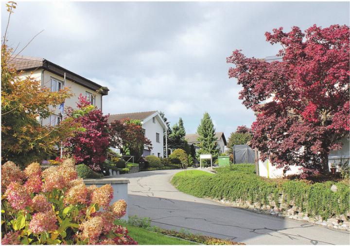 Quartier Schönfeld. Foto: zVg