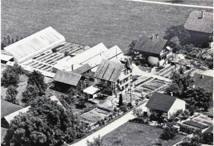 Gärtnerei 1968. Gärtnerei 1968.