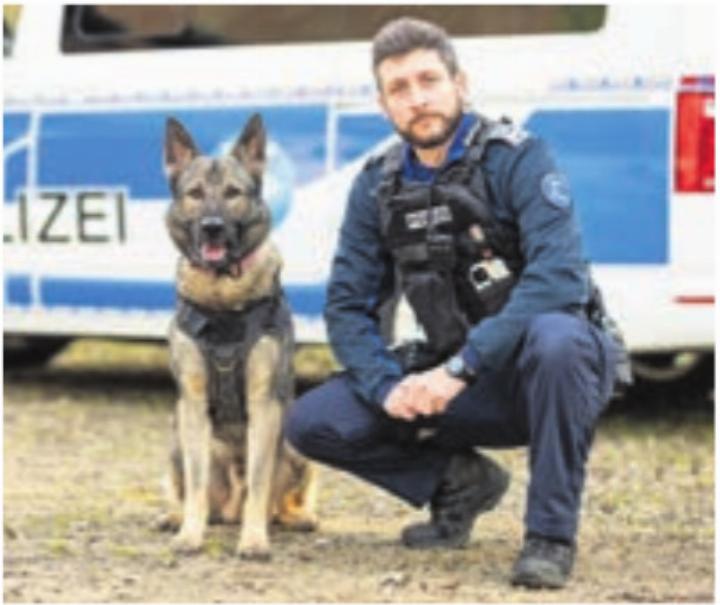 Polizeihund Gin. Foto: zVg Polizeihund Gin. Foto: zVg