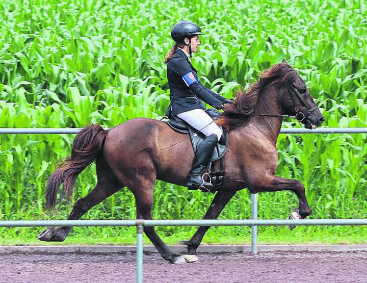 Alena Balmer mit Gormur im schnellen Tölt. Fotos: zVg