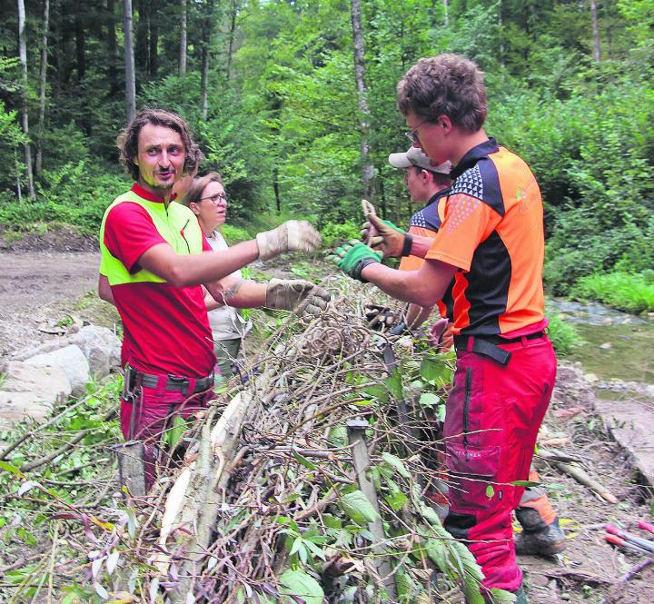 Angehende Forstwarte binden Faschinen für den Grünverbau. Foto: zVg