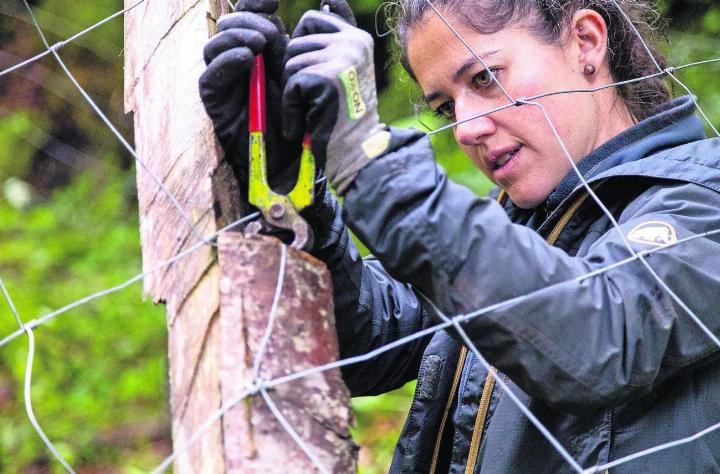 Gemeinsam handeln, Vielfalt schützen, Bergwald stärken! Foto: zVg