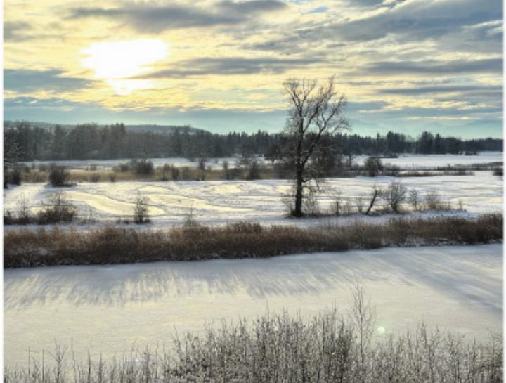 Altwasser-Landschaft in Rottenschwil. Foto: zVg