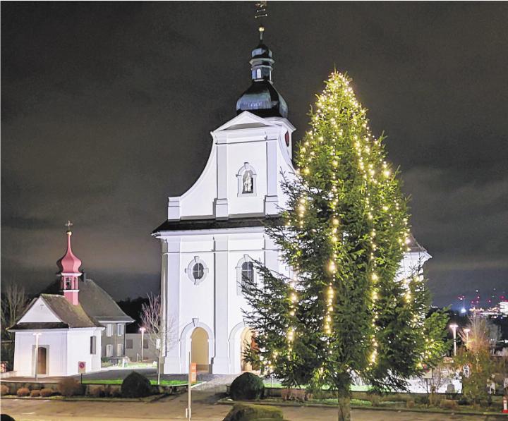 Weihnachtsbaum 2024 mit Kirche Dietwil im Hintergrund. Foto: zVg