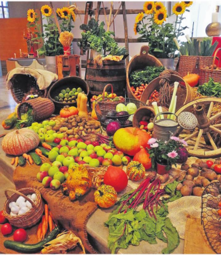 Üppige Erntevielfalt. Foto: zVg