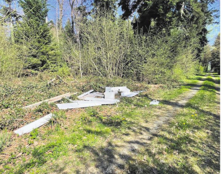 Illegal entsorgtes Doppelbett. Foto: zVg