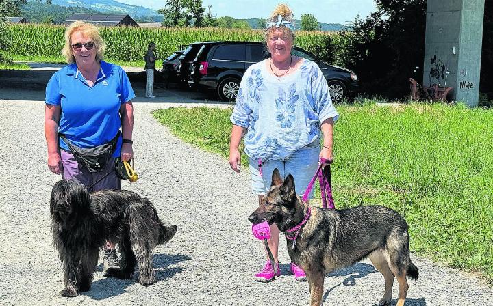 Christa Imlig mit ihrem Gos d’Atura Català und Monika Gillmann mit dem Deutschen Schäfer geniessen die Spaziergänge der Reuss entlang (von links). Fotos: rah