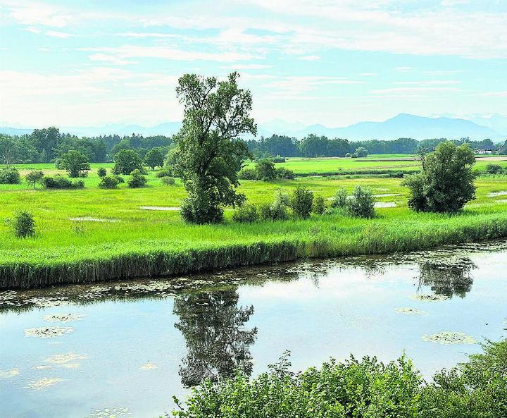 Auen, Riedwiesen und der Flachsee sind wichtige Lebensräume. Foto: zVg