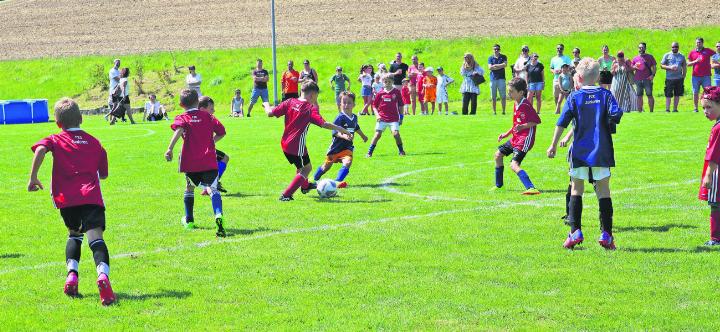 Die Kinder beim Länderspiel, angefeuert von den Eltern am Spielfeldrand. Fotos: ci