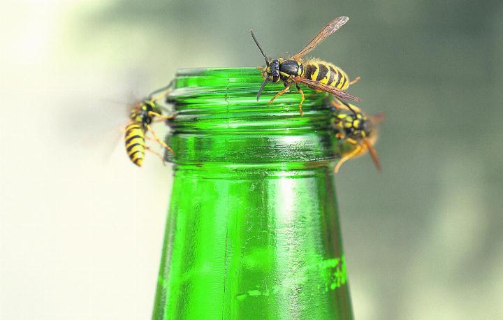 Solche Situationen können gefährlich werden. Foto: Pixabay