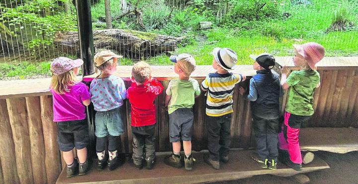 Im Wildnispark Zürich Langenberg gab es viel zu entdecken. Foto: zVg