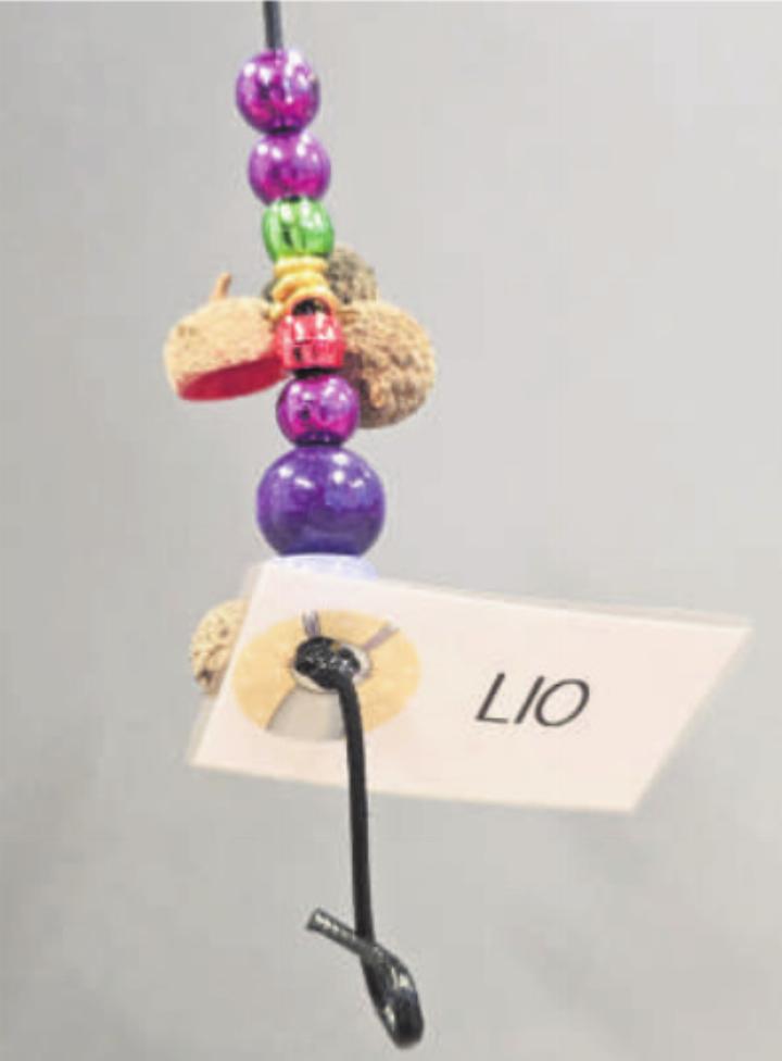 Unsere Perlen im Kindergarten Küfermatt 2. Foto: zVg