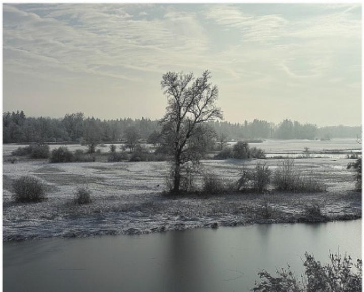 Natur- und Kulturlandschaftserbe Reusstal. Foto: zVg