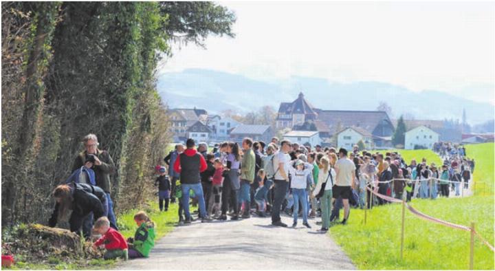 Zwischen 200 und 300 Personen wanderten am Karsamstag zum Eiersuchen in den Bohlwald. Foto: ci Zwischen 200 und 300 Personen wanderten am Karsamstag zum Eiersuchen in den Bohlwald. Foto: ci