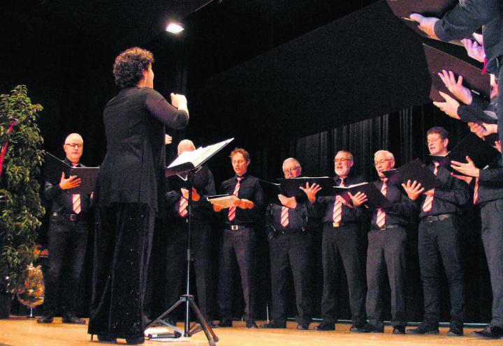 Der Männerchor Beinwil und seine Dirigentin Julia Frischknecht in voller Aktion. Fotos: aha