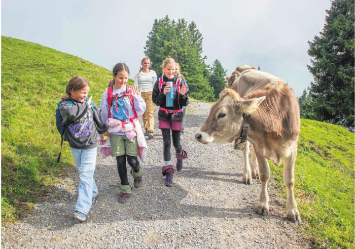 Auch wandern steht im Lager auf dem Programm. Fotos: zVg