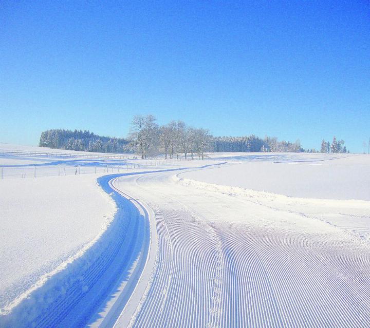 Die Loipe Lindenberg/Horben zählt 21 Loipenkilometer. Foto: zVg