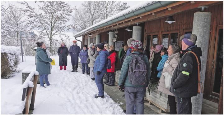 Winterspaziergang durch die wunderschön verschneite Landschaft. Foto: zVg