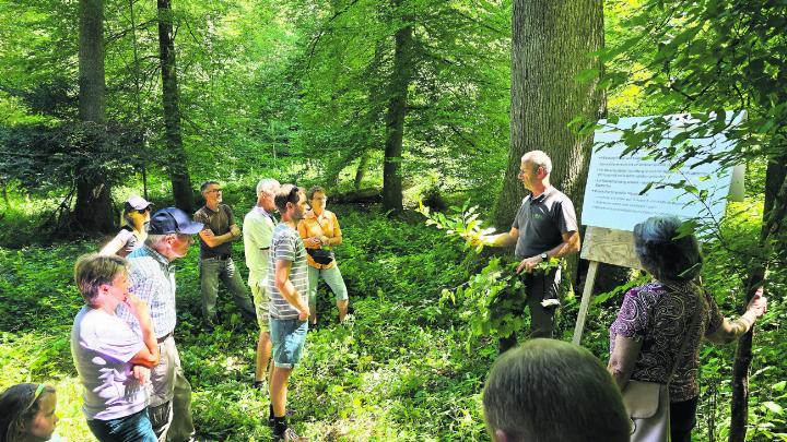 Grosses Interesse beim traditionellen Waldumgang. Foto: zVg