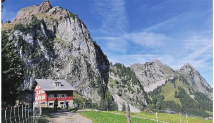 Naturschutz- und Moorwaldgebiet in der Ibergeregg. Foto: zVg