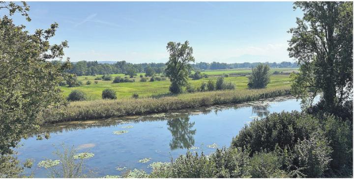 Vielfältige Flora und Fauna im Reusstal. Foto: zVg