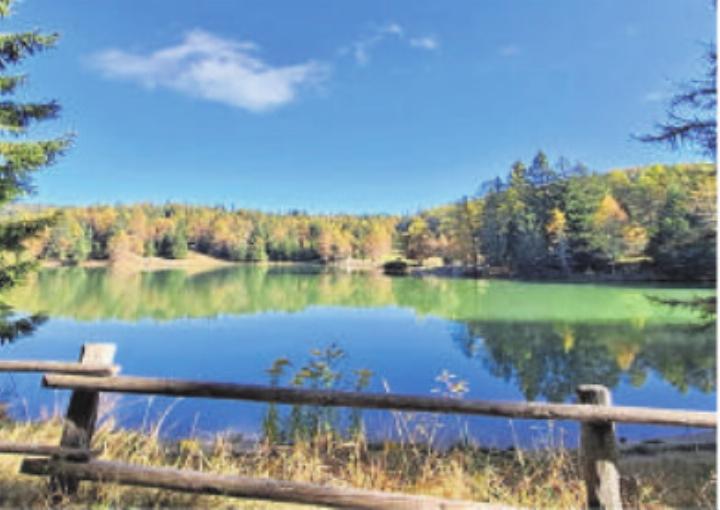 In der Natur Kraft schöpfen. Foto: zVg